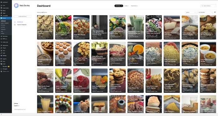 Google Web Stories for Food Blogs plugin dashboard