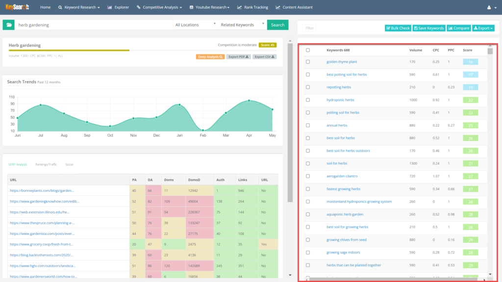 keysearch review easy niche